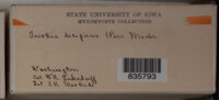 Image Associated With the Occurence